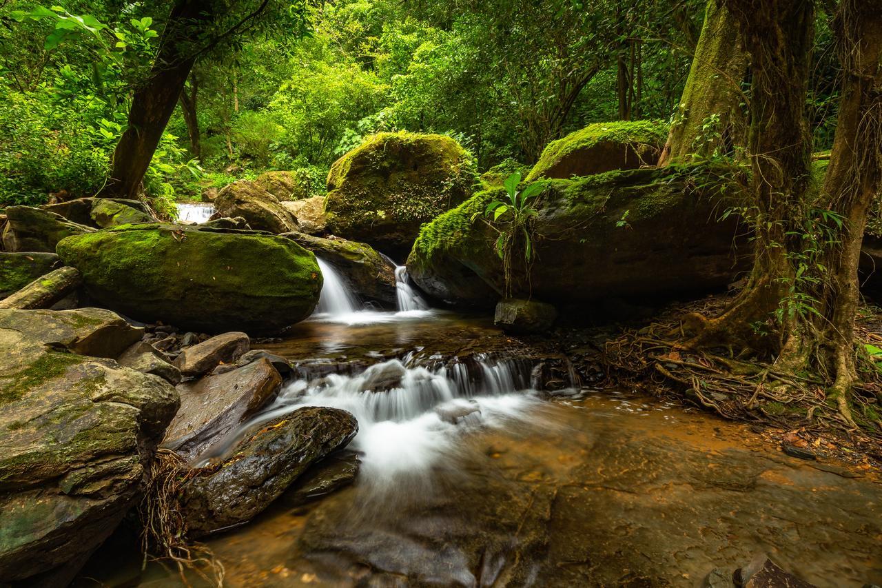 Вилла Cascada Elysiana Platanillo Экстерьер фото